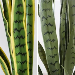 Artificial Snake Plant,Fake Sansevieria Fake Agave Potted Plants Plastic Greenery For House Living Room Home Office Outside Garden Decoration -Home Decor Store GUEST 0cb72481 f5e0 44c1 a5fb 8514e5c561f9
