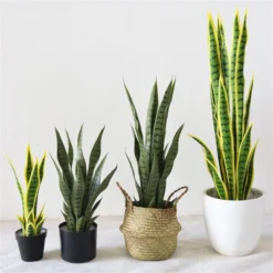 Artificial Snake Plant,Fake Sansevieria Fake Agave Potted Plants Plastic Greenery For House Living Room Home Office Outside Garden Decoration -Home Decor Store GUEST 1dd2ad0c b5ad 4299 8ce0 d4bec2fa06da
