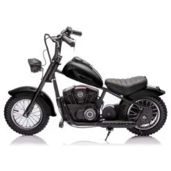 Electric Motorcycle For Kids, 24V 250W Kids Electric Dirt Bike, Two Speed Max Up To 14MPH & 60 Minutes Continuous -Home Decor Store GUEST 5ed59d89 73bf 4939 ba2b 1b6f3920f333