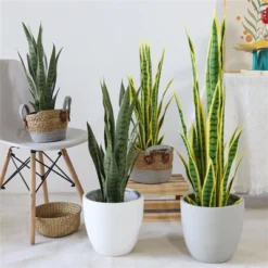 Artificial Snake Plant,Fake Sansevieria Fake Agave Potted Plants Plastic Greenery For House Living Room Home Office Outside Garden Decoration -Home Decor Store GUEST 63a78704 1fbd 4a7c 81d5 19066838bde4
